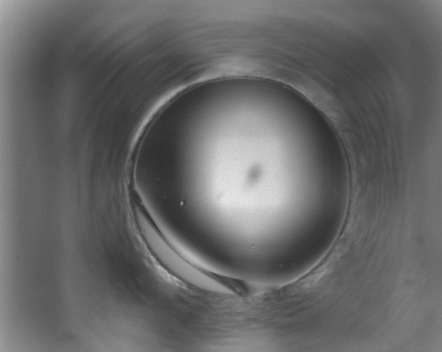 X0000068270912200604241254