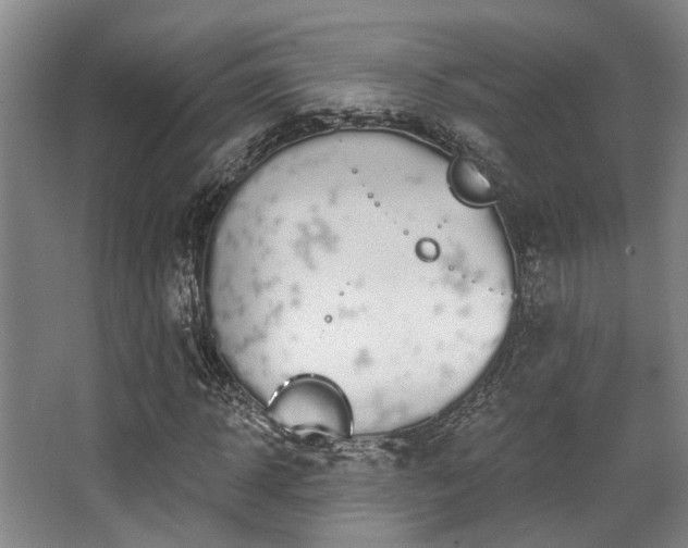 X0000068270918200604241254