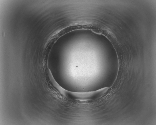 X0000068270920200604241254