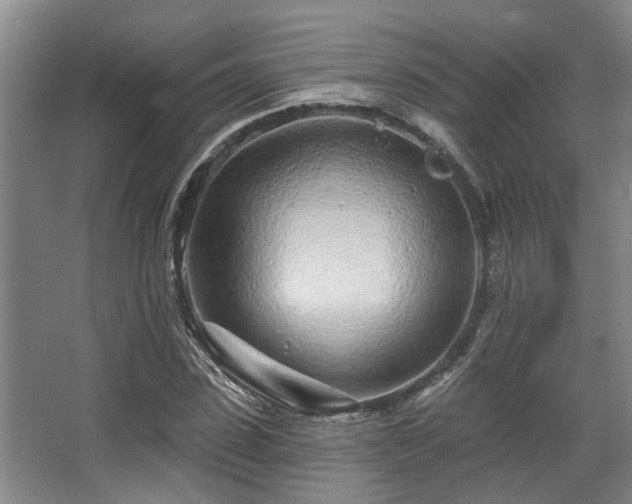 X0000068270923200604241254