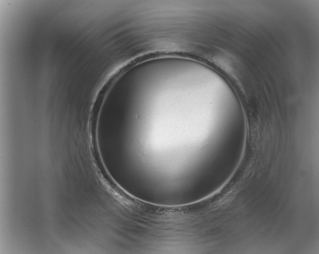 X0000068270935200604241254