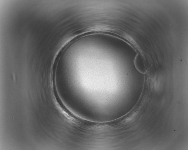 X0000068270939200604241254