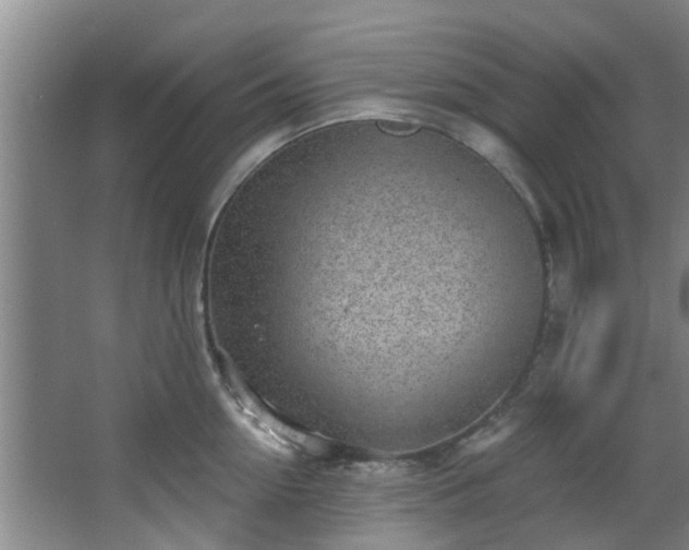 X0000068270954200604241254