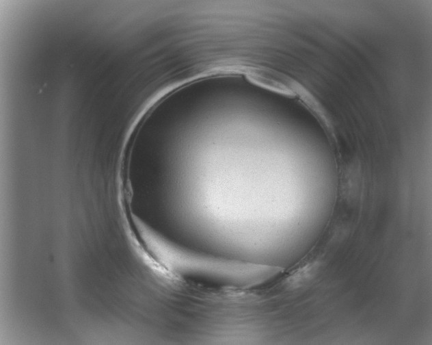 X0000068270955200604241254