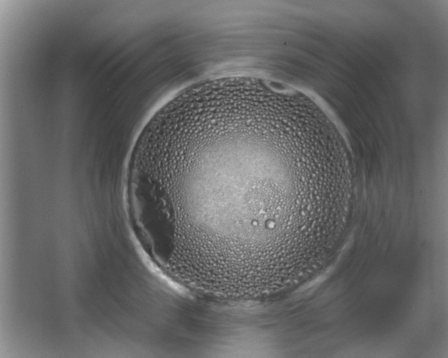 X0000068270957200604241254