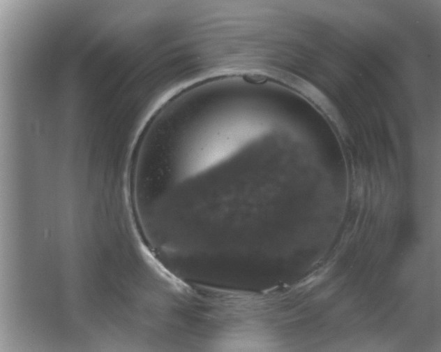 X0000068270958200604241254