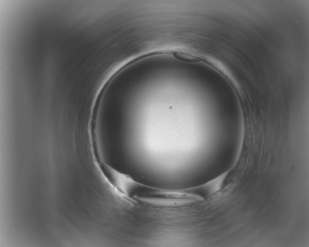 X0000068270959200604241254