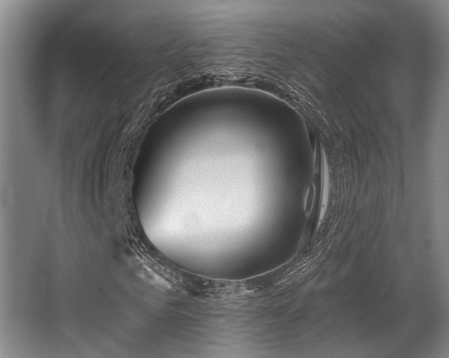 X0000068270961200604241254