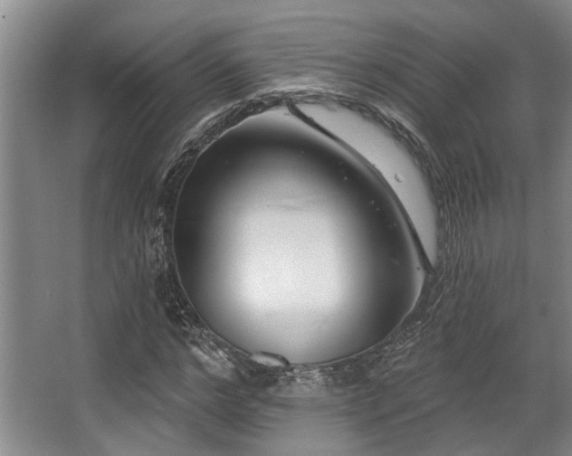 X0000068270968200604241253