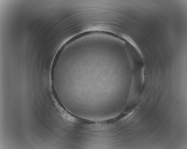 X0000068270980200604241253