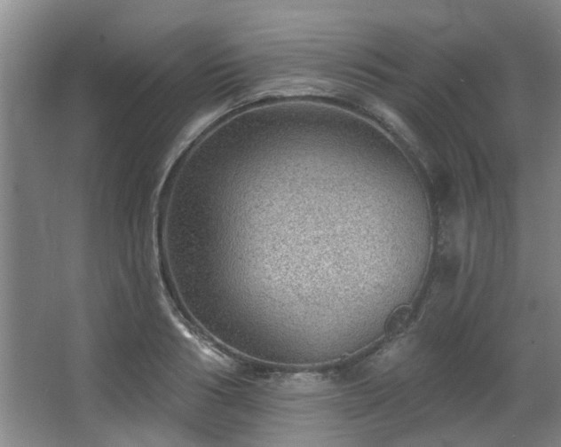 X0000068270986200604241253