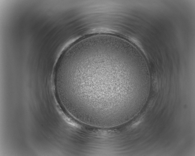 X0000068270987200604241253