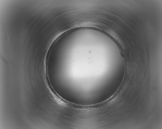 X0000068270988200604241253