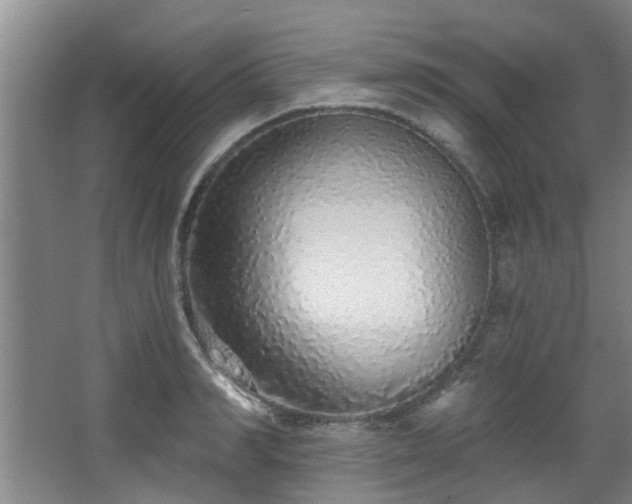 X0000068270990200604241253