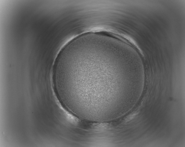 X0000068270991200604241253