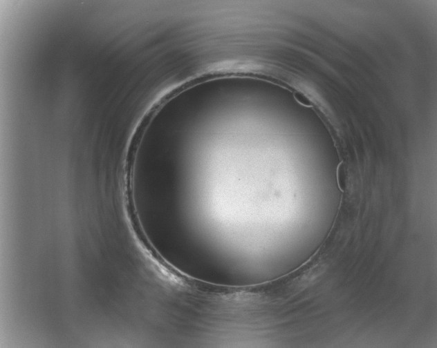 X0000068270992200604241253