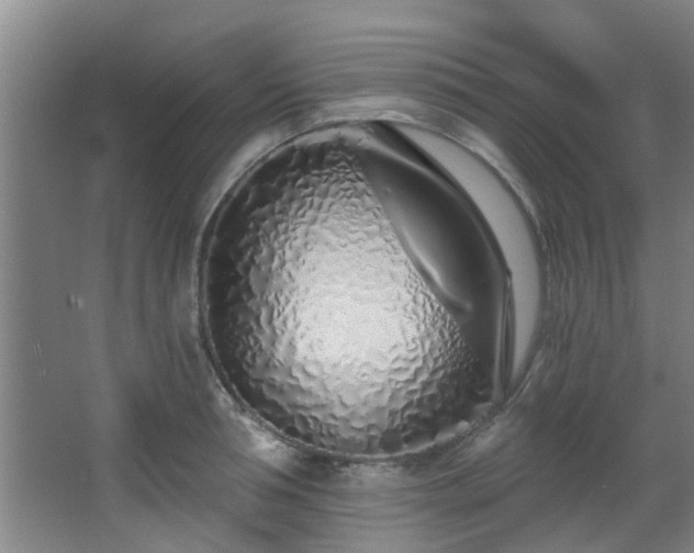 X0000068270994200604241253