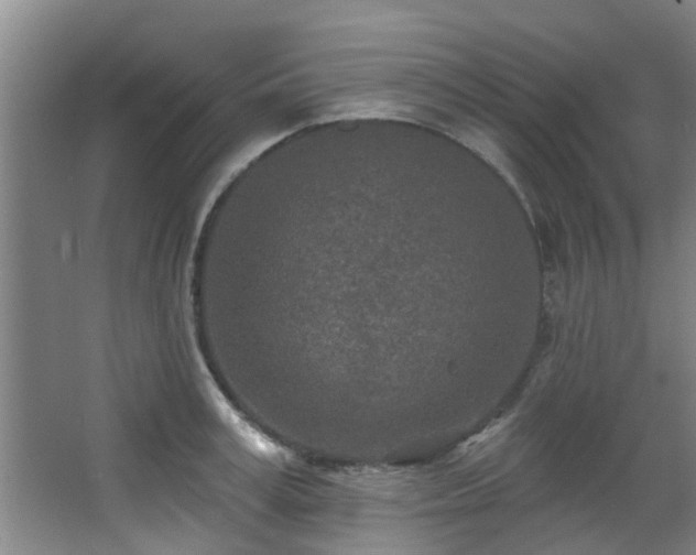 X0000068270995200604241253