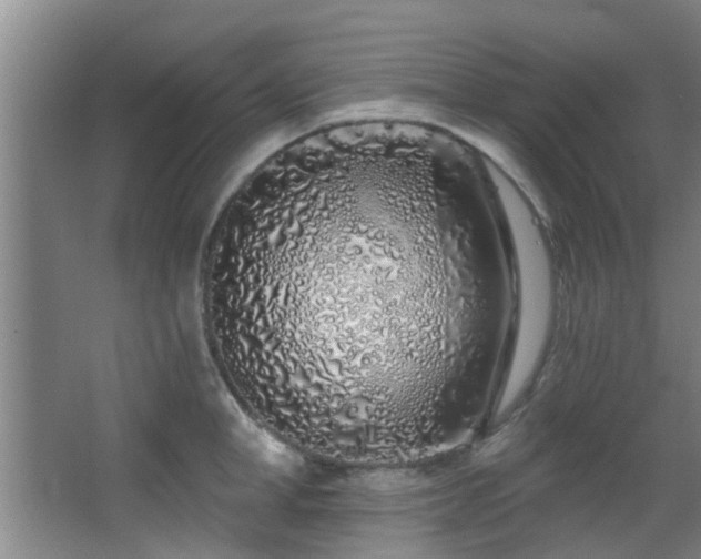 X0000068270998200604241253