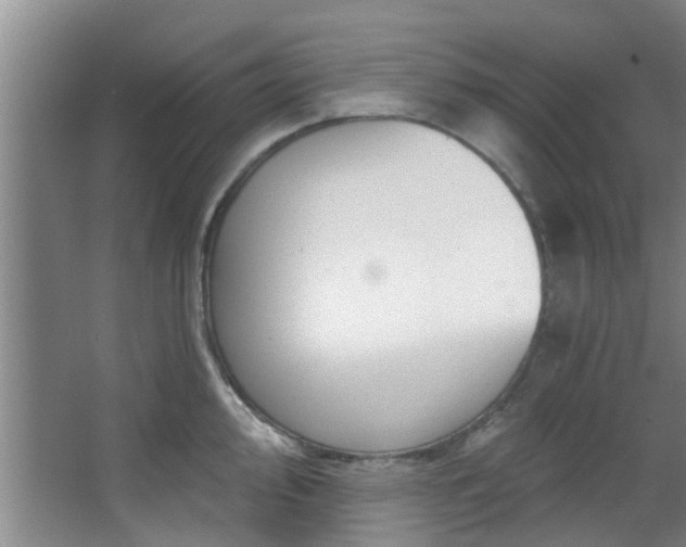 X0000068271000200604241253