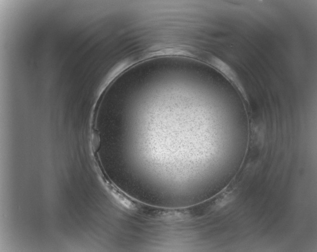 X0000068271002200604241253