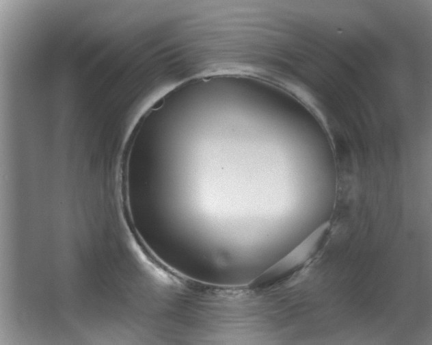 X0000068271003200604241253