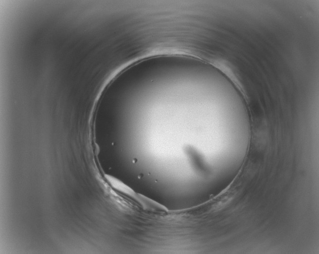 X0000068271004200604241253