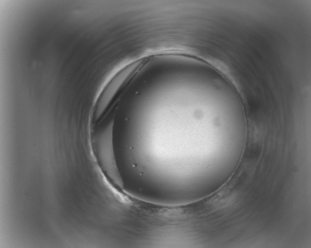 X0000068271006200604241253