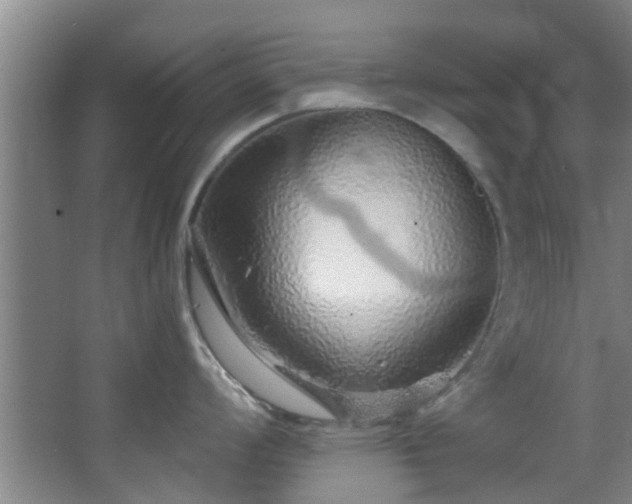 X0000068271008200604241253