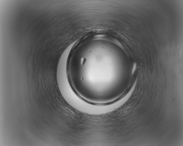 X0000068271010200604241252