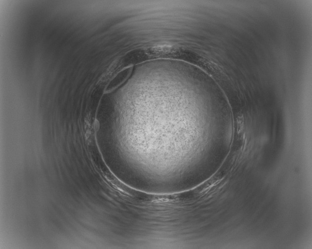 X0000068271011200604241252