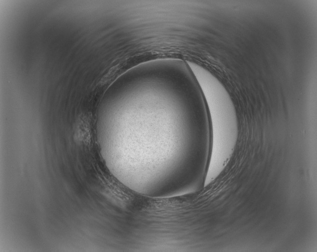 X0000068271012200604241252