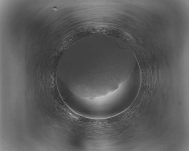 X0000068271013200604241252