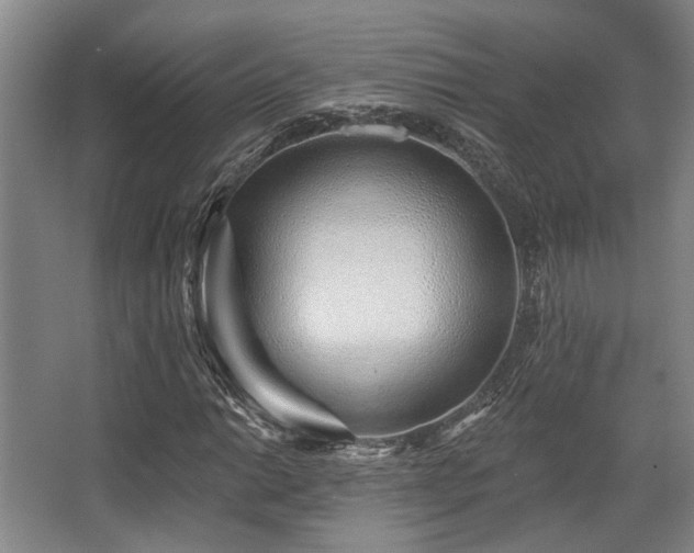 X0000068271014200604241252