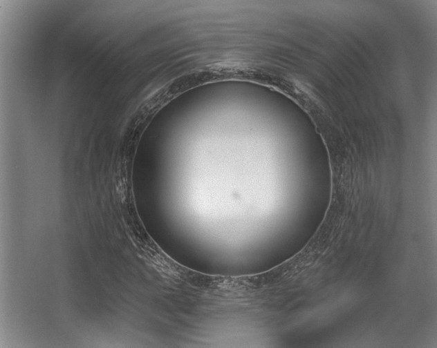 X0000068271015200604241252