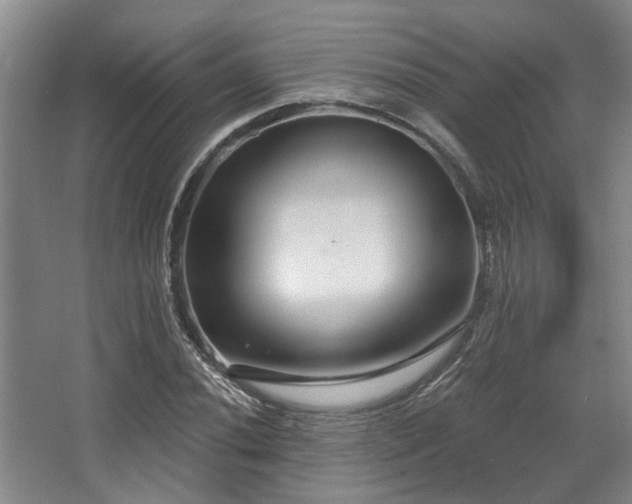 X0000068271020200604241252