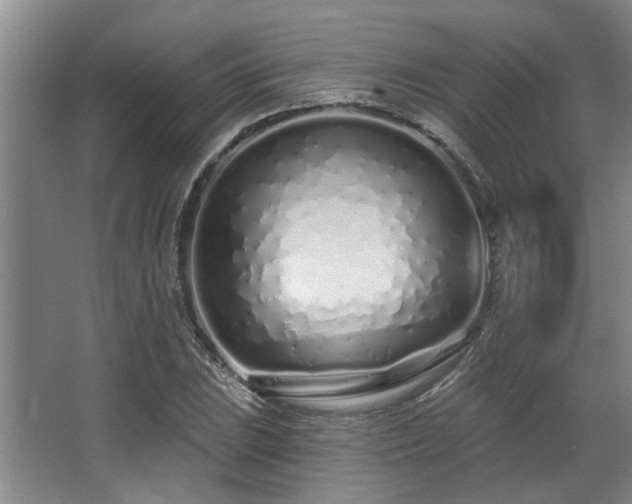 X0000068271023200604241252