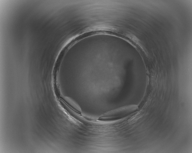 X0000068271024200604241252