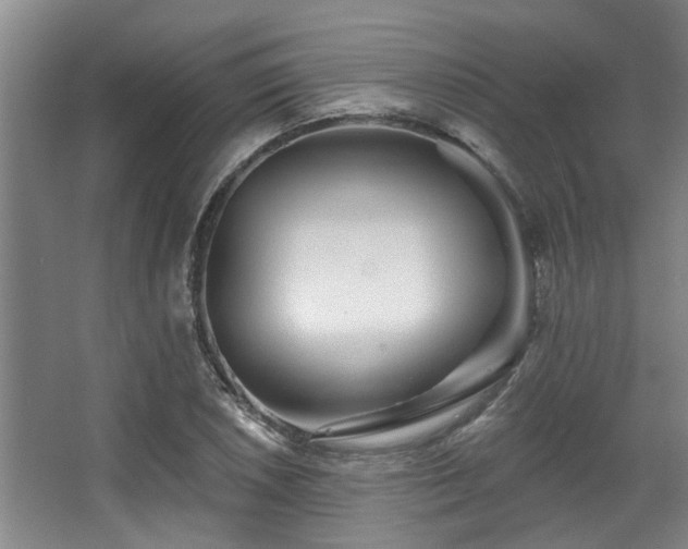 X0000068271026200604241252