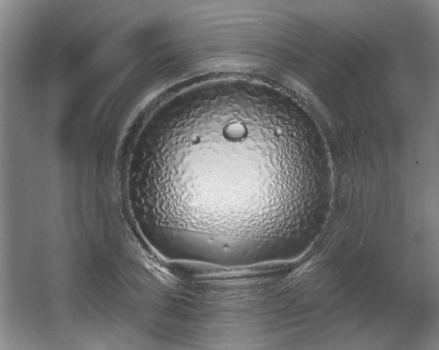 X0000068271027200604241252