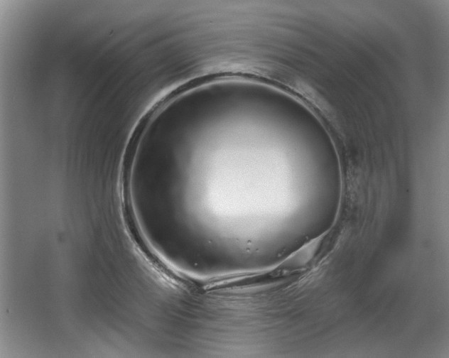 X0000068271028200604241252