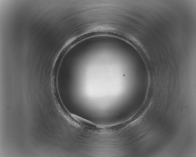 X0000068271029200604241252