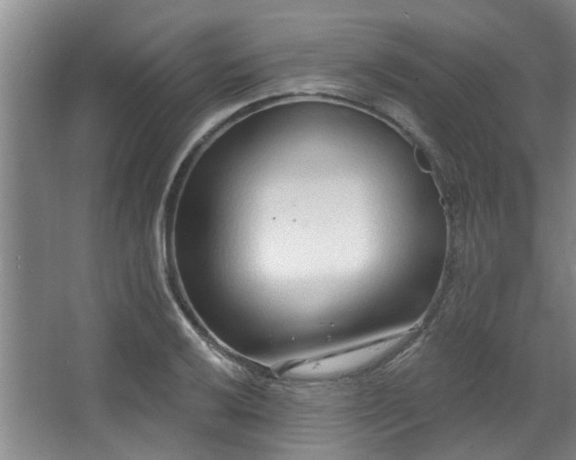 X0000068271032200604241252