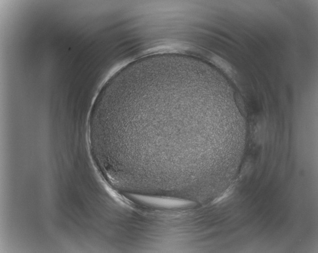 X0000068271034200604241252