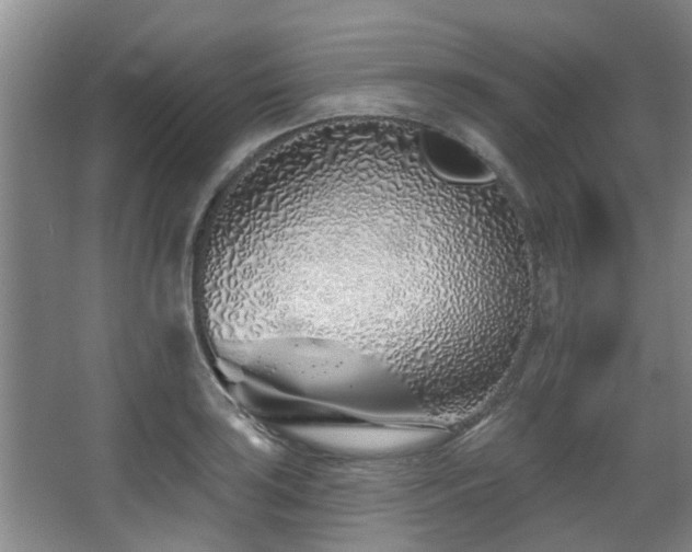 X0000068271035200604241252