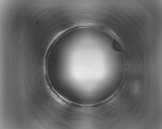 X0000068271036200604241252