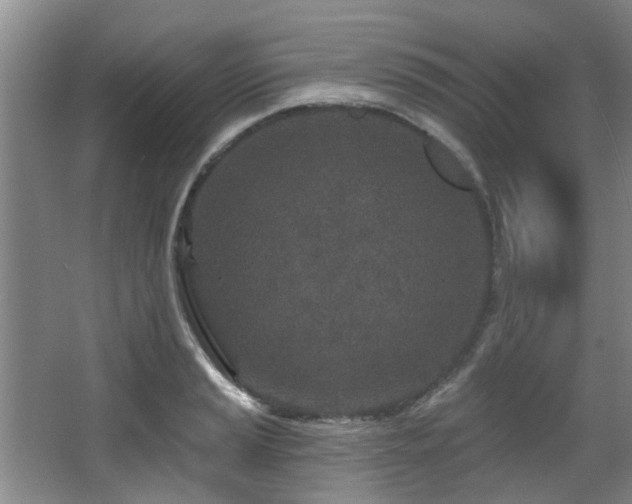 X0000068271037200604241252