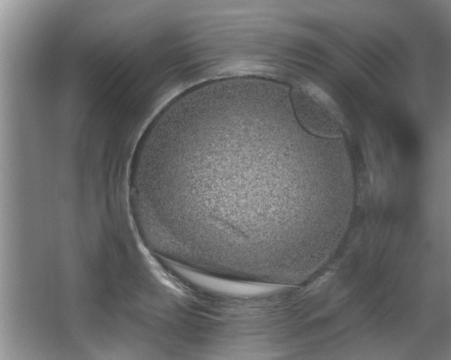 X0000068271039200604241252