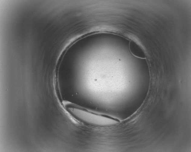 X0000068271040200604241252