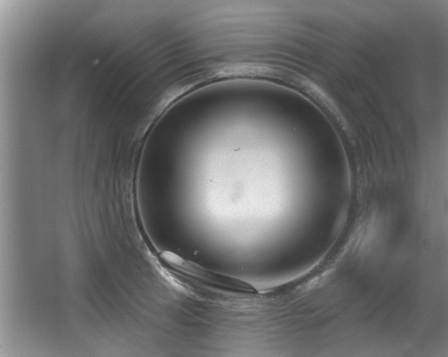 X0000068271041200604241252